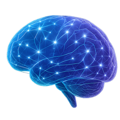 Interactive brain visualization with clickable regions